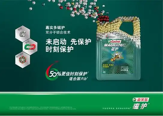 爱车不惧高温挑战,嘉实多润滑油伴您安然度夏 - 中国日报网