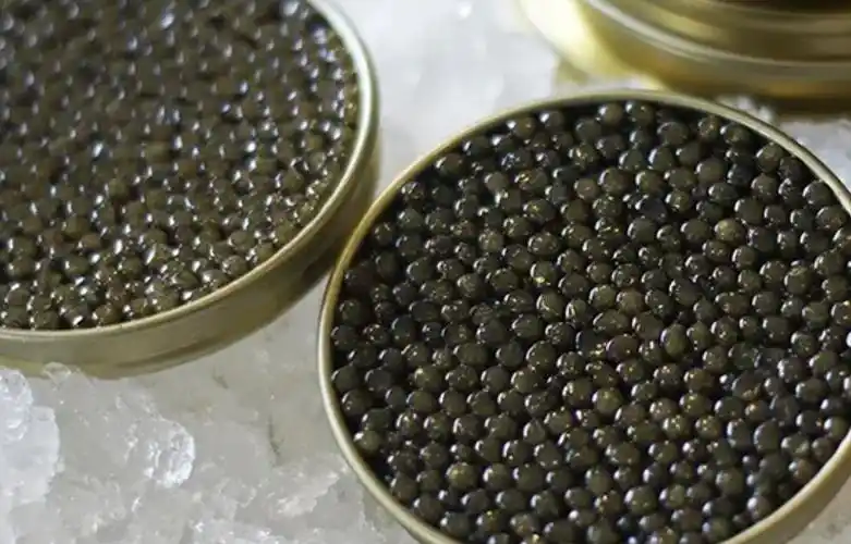 鱼子酱的价格(俄罗斯70万一勺的鱼子酱) - 价格百科