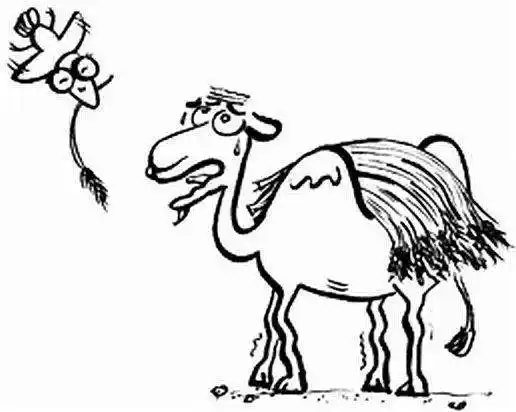 房贷利率上升:压倒房价最后一根稻草