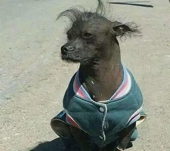 而是在风中凌乱了自己吗,用这样子的情