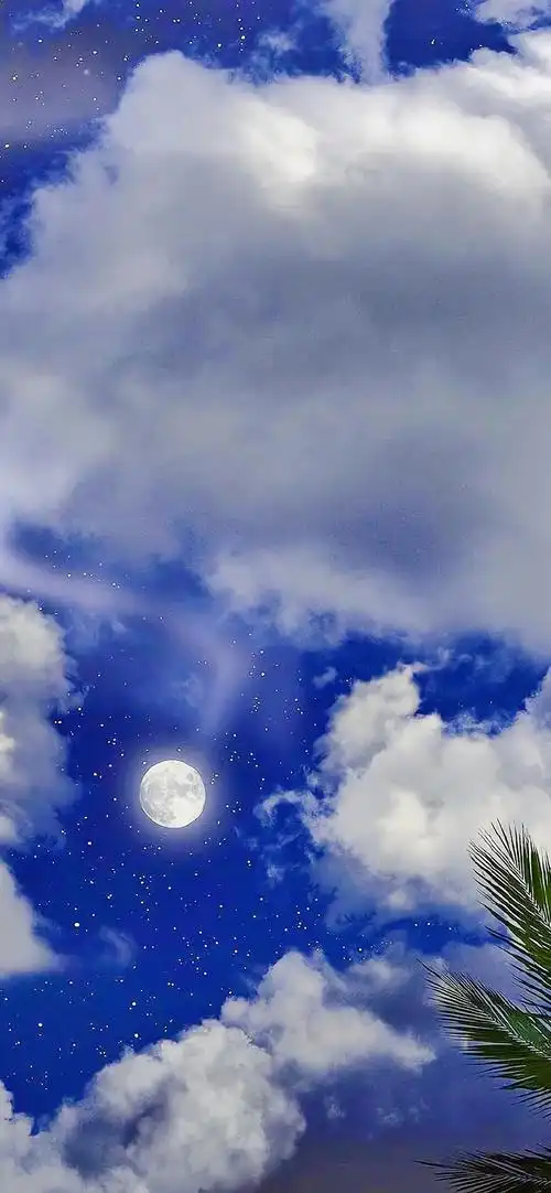 时间:2021-02-01浏览:(1408)标签:格式:jpg热门壁纸标签郭禹晗江亦祺