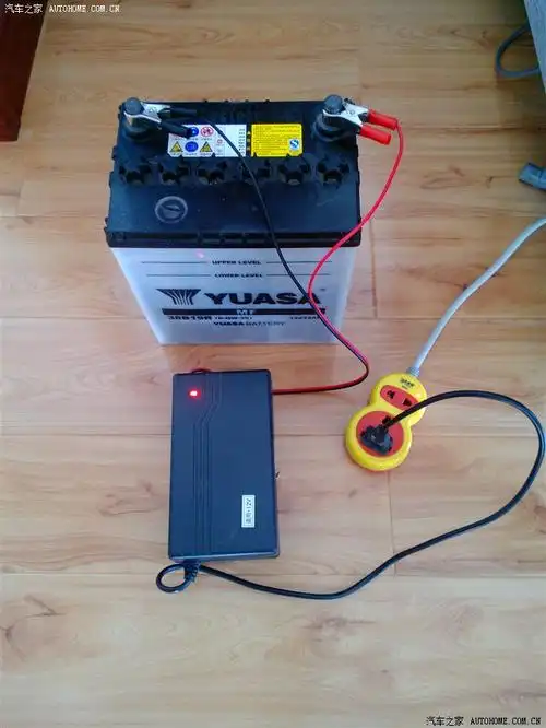 买了个充电器,给电瓶充电!