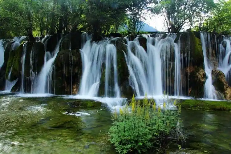 zol论坛>摄影论坛>摄影作品论坛>自然风景论坛>九寨沟真是个好地方>