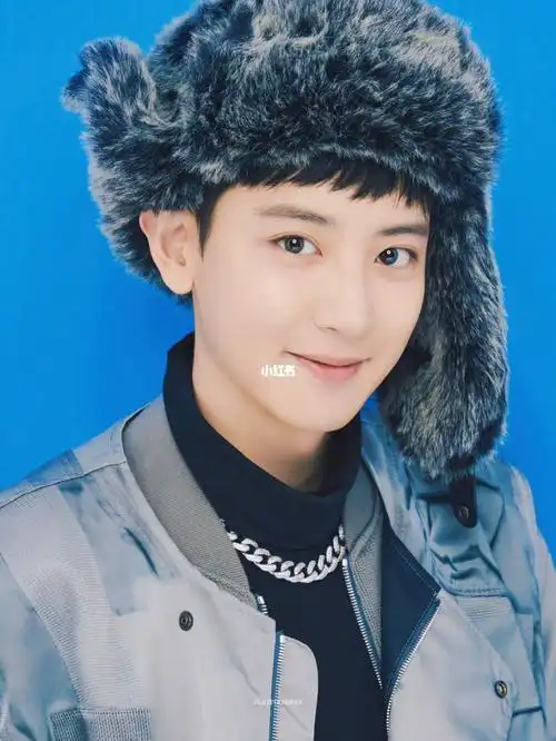 朴灿烈证件照就没输过