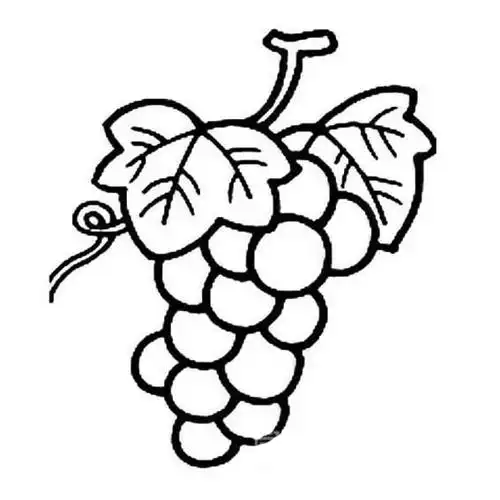 一串葡萄的简单画法
