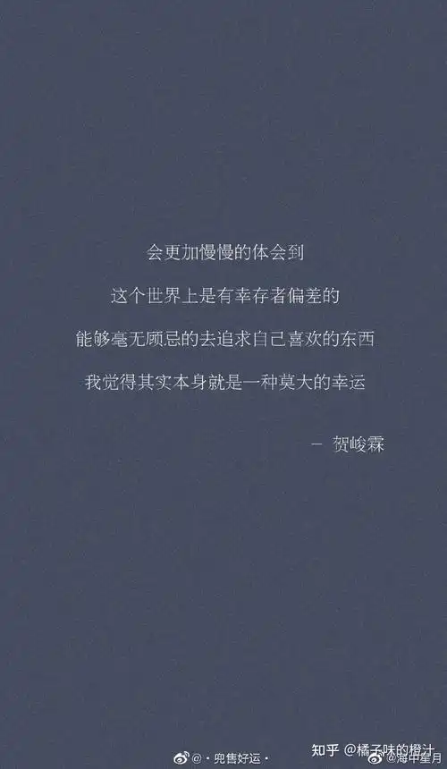 贺峻霖文字魔法师