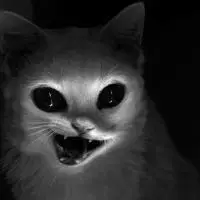 重口味诡异恐怖个性头像2020 深黑色的夜晚