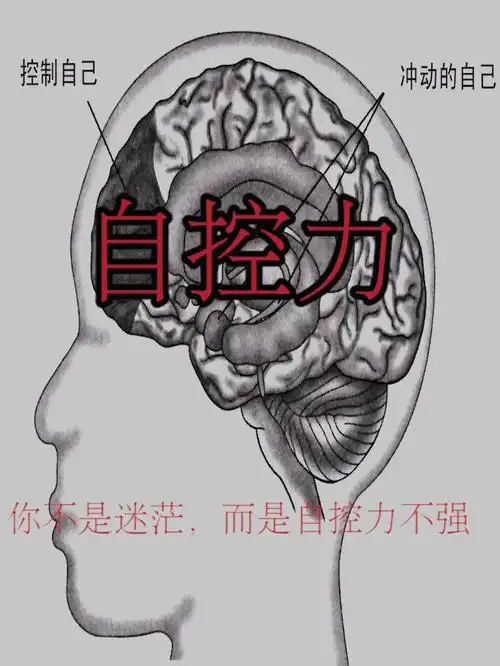 自控力是很重要滴