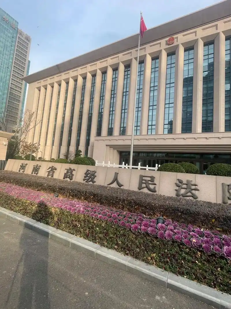 河南省高级人民法院19审判庭:保险诈骗案再审听证.09:00 - 抖音