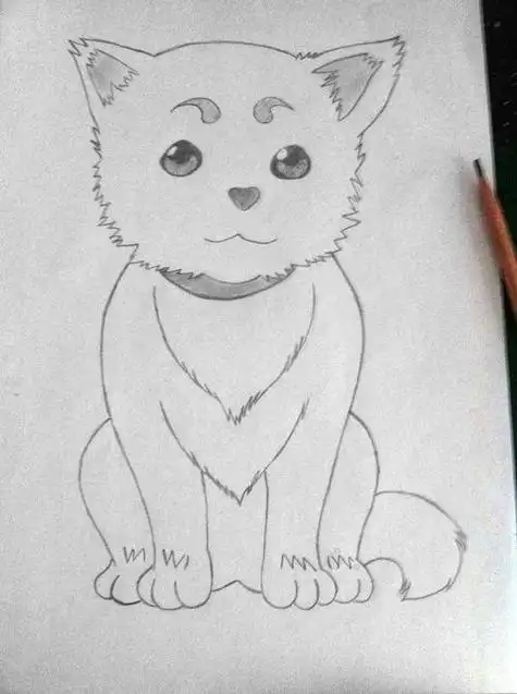 素描动物简单素描小动物简单画法