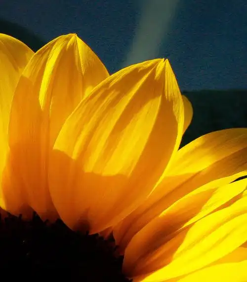 明明亮亮的快乐呀