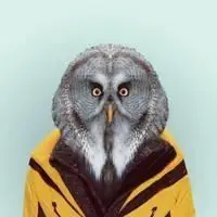 兽头人身西装系列头像_微信头像图片大全