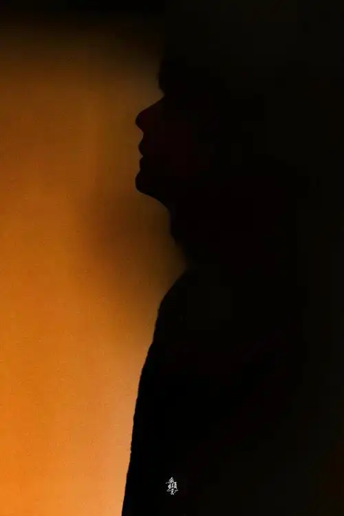 由真维斯剪影图想到"王一博剪影照"合集 p18严格说来不算剪影,但我真