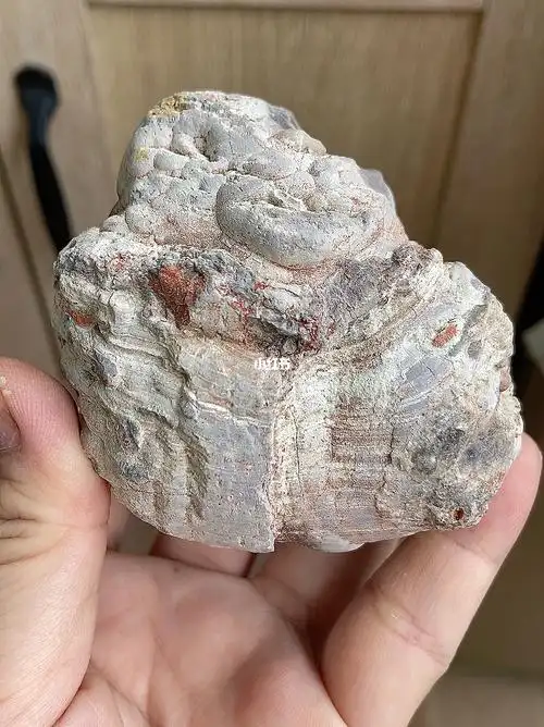 340克缠丝玛瑙原石35