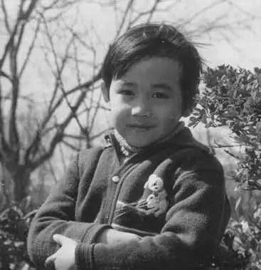 回顾陆毅的成名之路父母是普通工人5岁出道第一部戏片酬50元