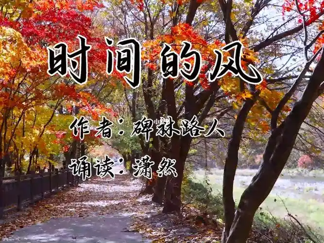 时间的风作者碑林路人诵读潇然美文诵读