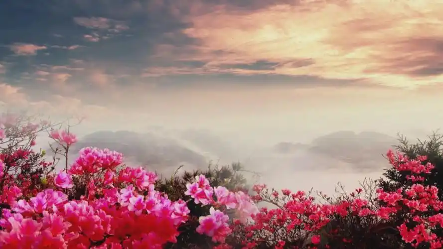 又见映山红高清 党政红歌 led背景视频 高清版片源