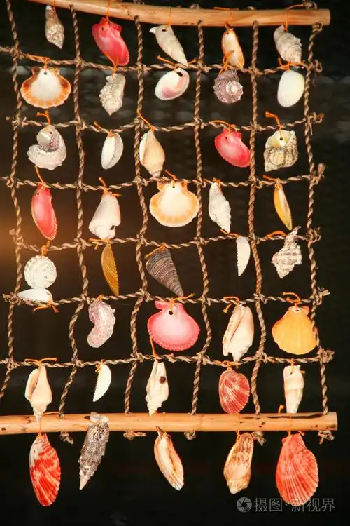 海贝壳作为装饰的对象
