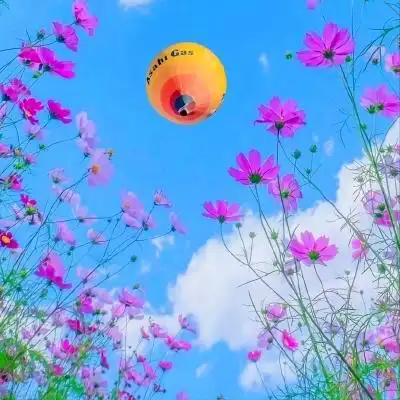 唯美风景头像图片大全高清