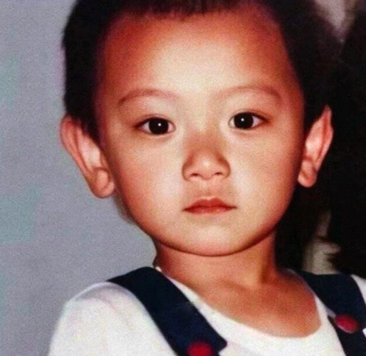 6位明星童年照:鹿晗,赵丽颖,黄子韬,张艺兴,陈翔,张一山