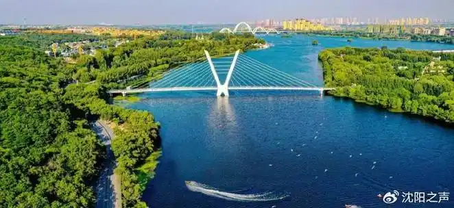 2024爱沈阳·春天花正开 | 沈阳24个重点场景|辽宁省|沈阳市_新浪新闻