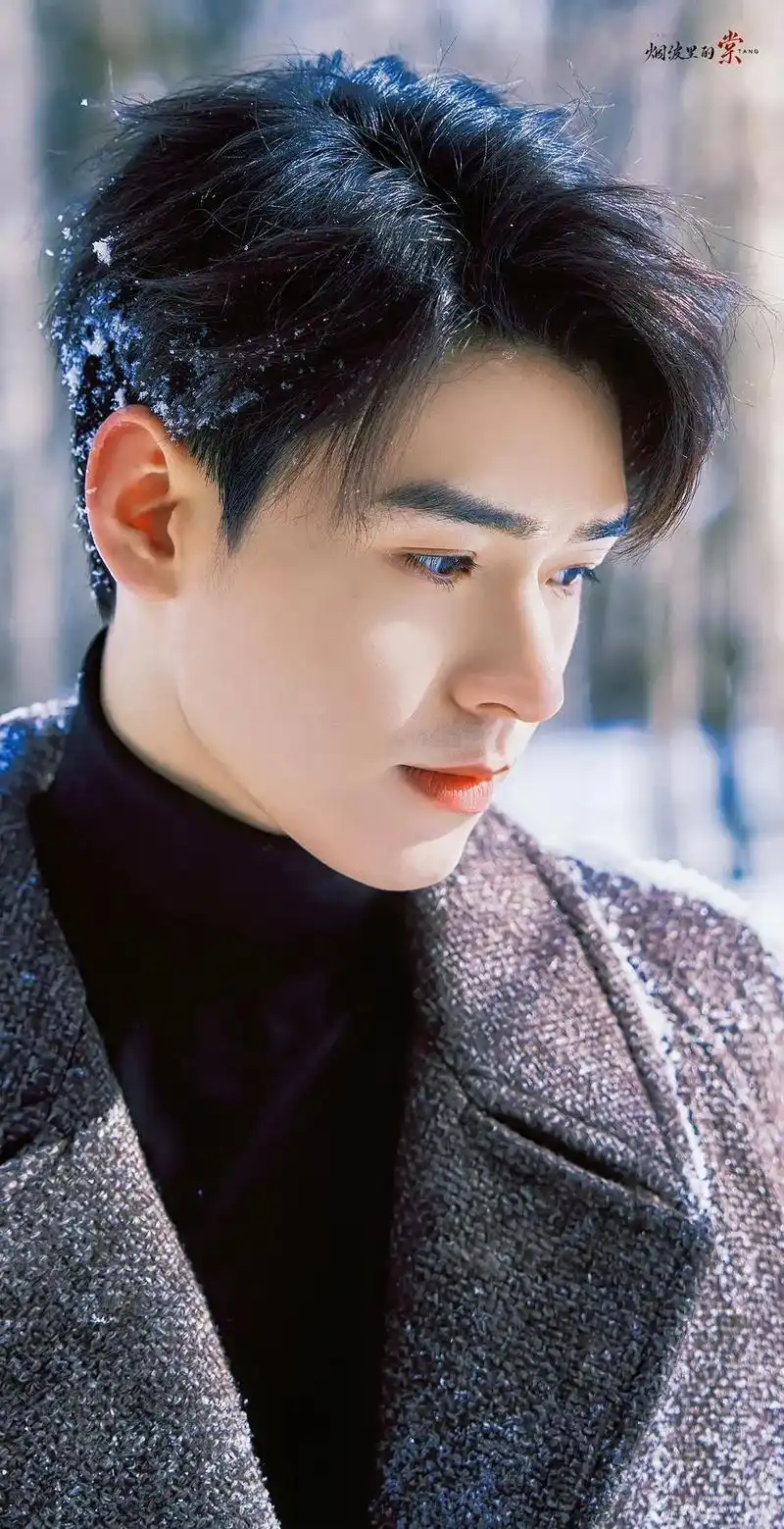 龚俊雪景壁纸.#龚俊 #雪景 #下雪氛围感大片  #这样的男 - 抖音