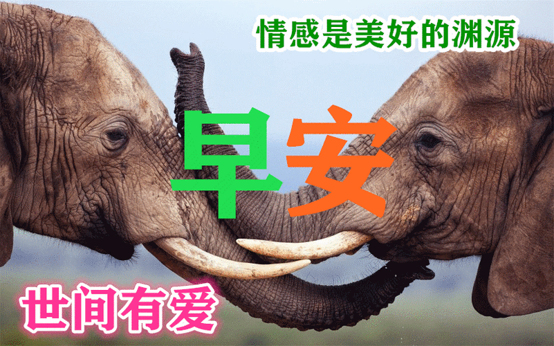 原创1月15日寒冷清晨早上好漂亮清新早安问候语图片