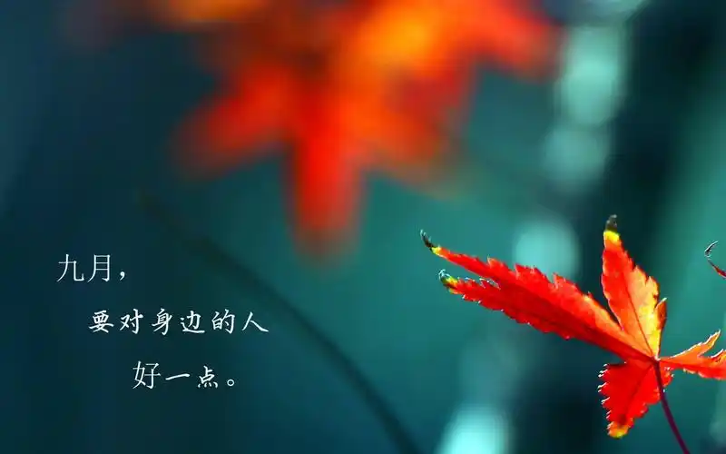 枫叶,唯美意境,九月你好,第一天,文字,枫叶,唯美,2k,电脑壁纸,壁纸