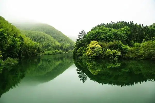 湖北通山守护绿水青山绘就生态蓝图