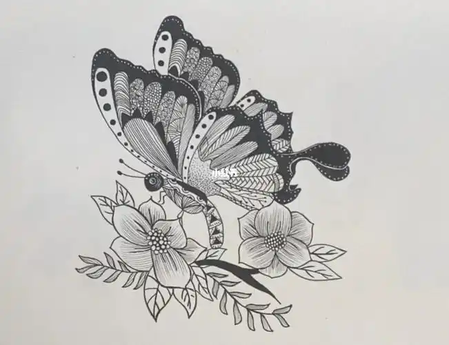 黑白线描装饰画蝴蝶03临摹
