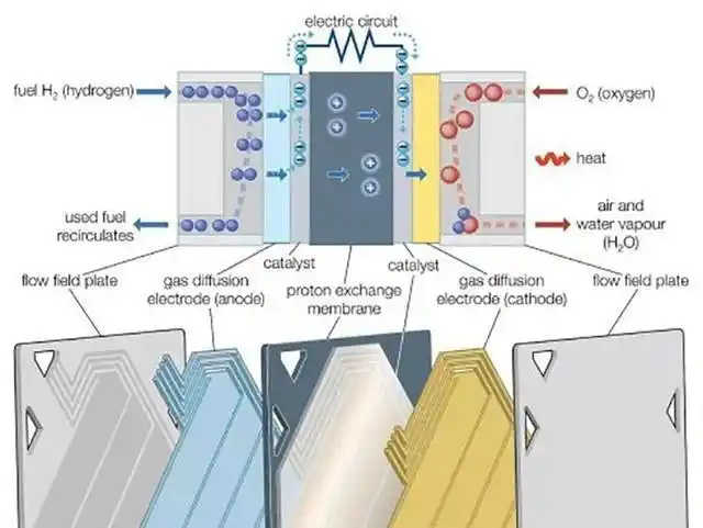 燃料电池结构示意图
