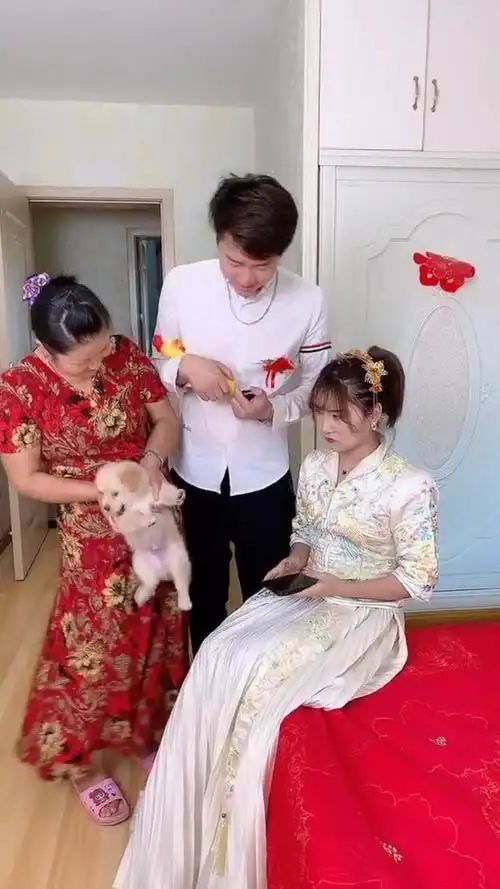 结婚第一天,婆婆和老公就抱个狗狗在我面前晃是什么意思