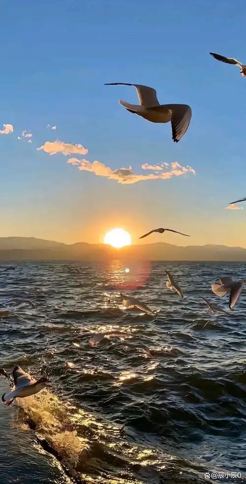 8k高清手机壁纸