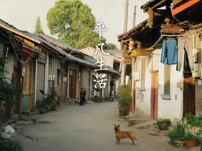 阳光下治愈人心的平凡生活生活影像