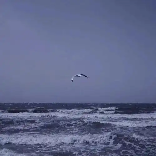 背景图丨ins风格大海背景图