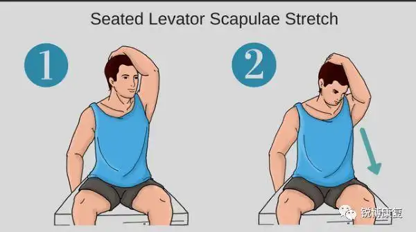 (肩胛提肌放松)(上斜方肌放松)◆协调上下斜方肌激活程度(中立位外展)
