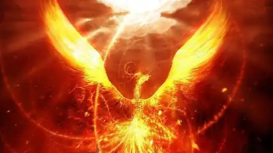 凤凰涅盘浴火重生凤凰涅盘浴火重生