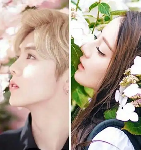 鹿晗迪丽热巴的qq头像