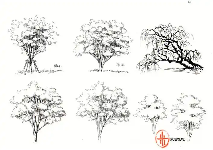 景观植物手绘线稿分享