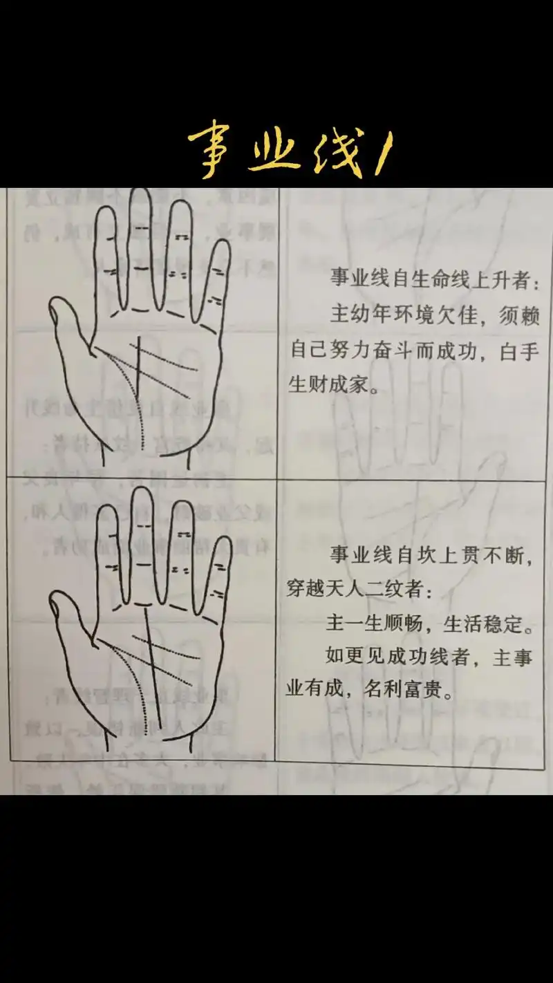 掌纹的秘密 - 抖音