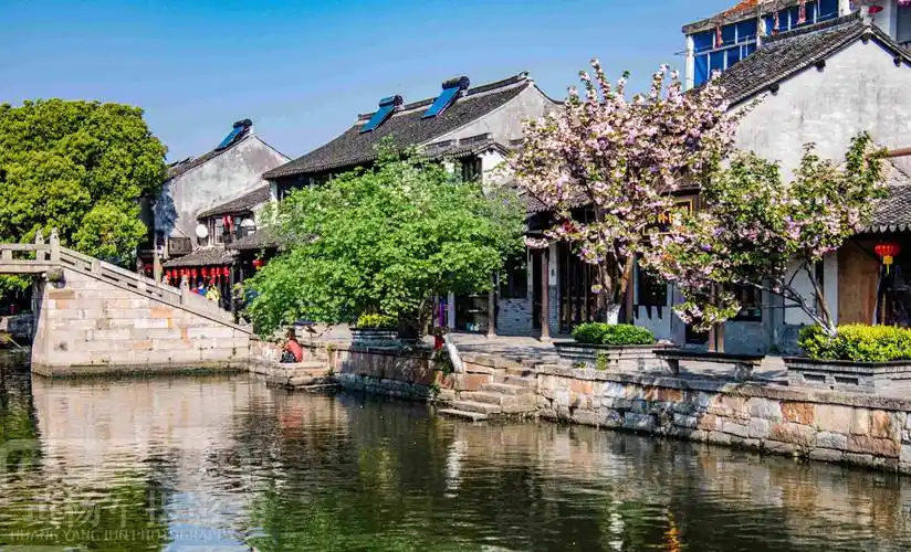 中国最值得漫游的江南小镇,距今有千年历史,春三月樱花美景如画_西塘