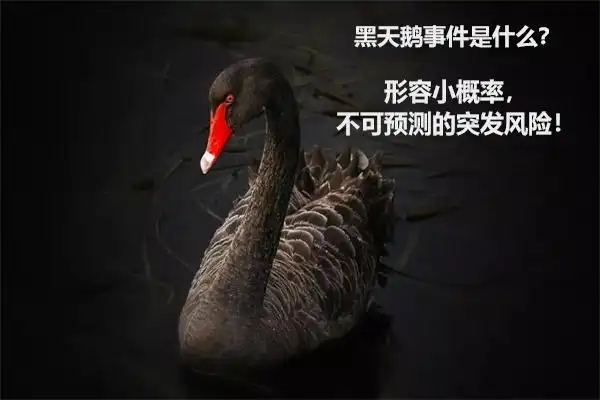 守柴炉疫情黑天鹅事件暴露餐饮痛点是危险还是机会