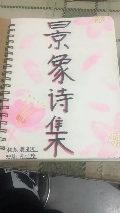 我的小诗集有精美的封面,有目录,有序言,不仅内容丰富,还附