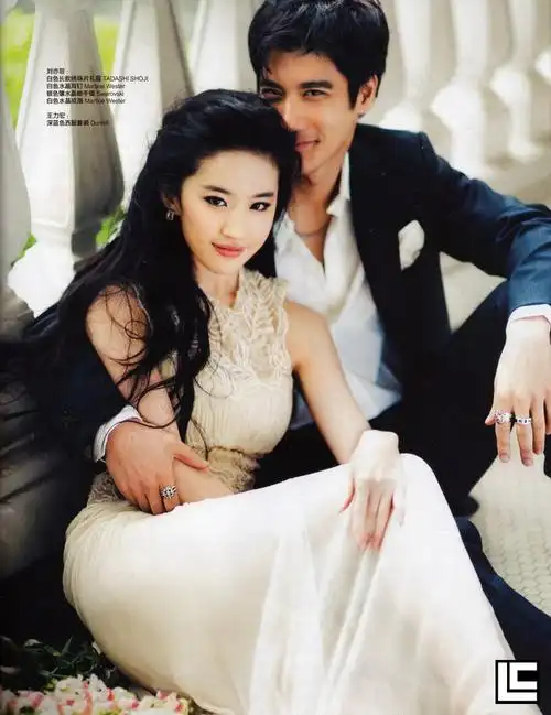 刘亦菲王力宏恋爱通告