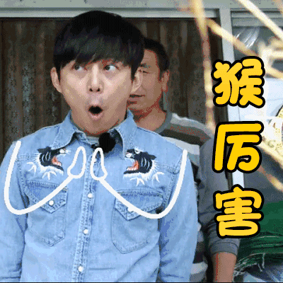 向往的生活 何炅 猴厉害 很厉害 鼓掌 腻害