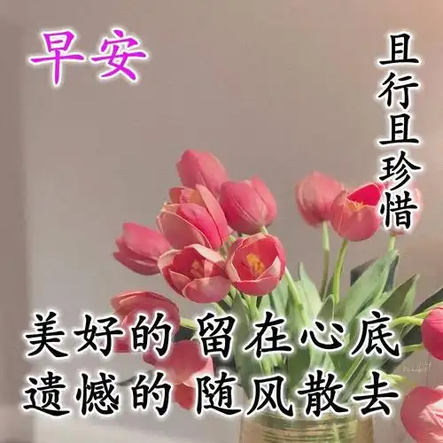 7月31日最后一天清晨早安问候动态表情图片早上好祝福美图动态