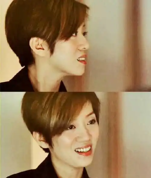 如何评价梅艳芳的长相?