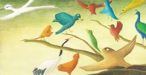 百鸟朝凤 插画 插画习作 三耳三