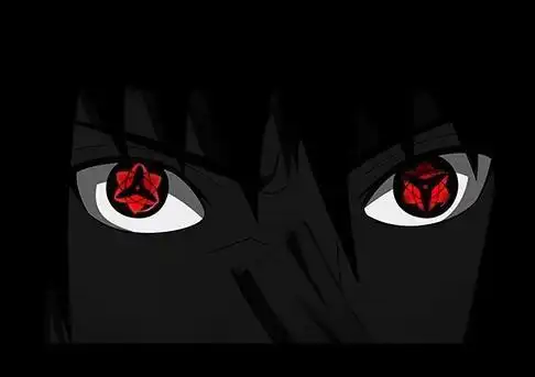 称为"掌控生死之眼"的新瞳术——轮回眼,并覆盖掉原来的瞳术"写轮眼"