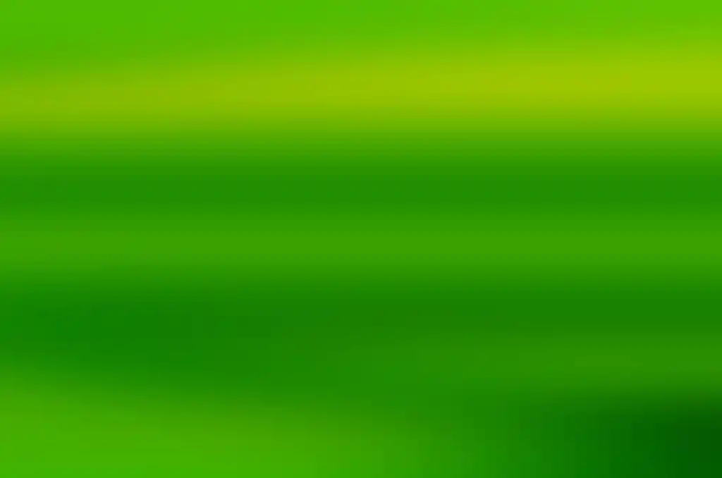 淡绿色的背景图案抽象壁纸